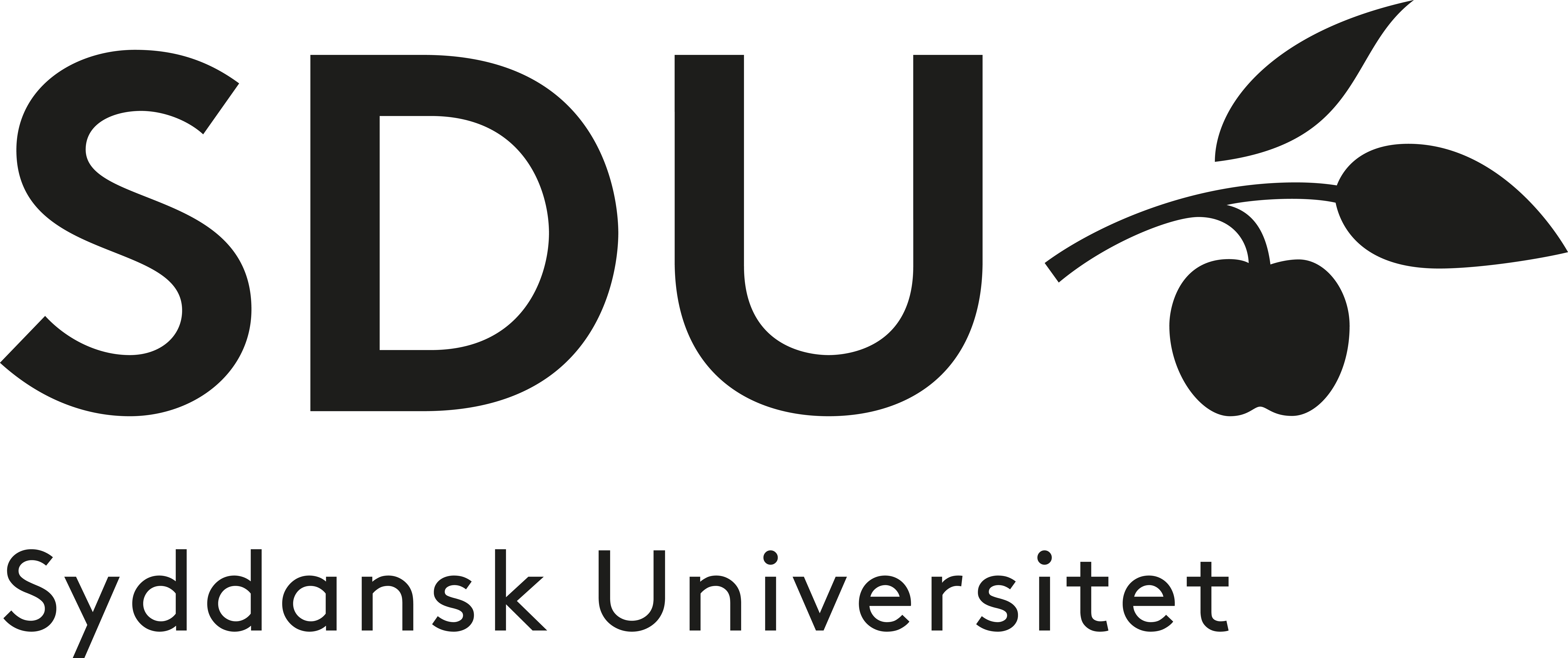 SyddanskUniversitet